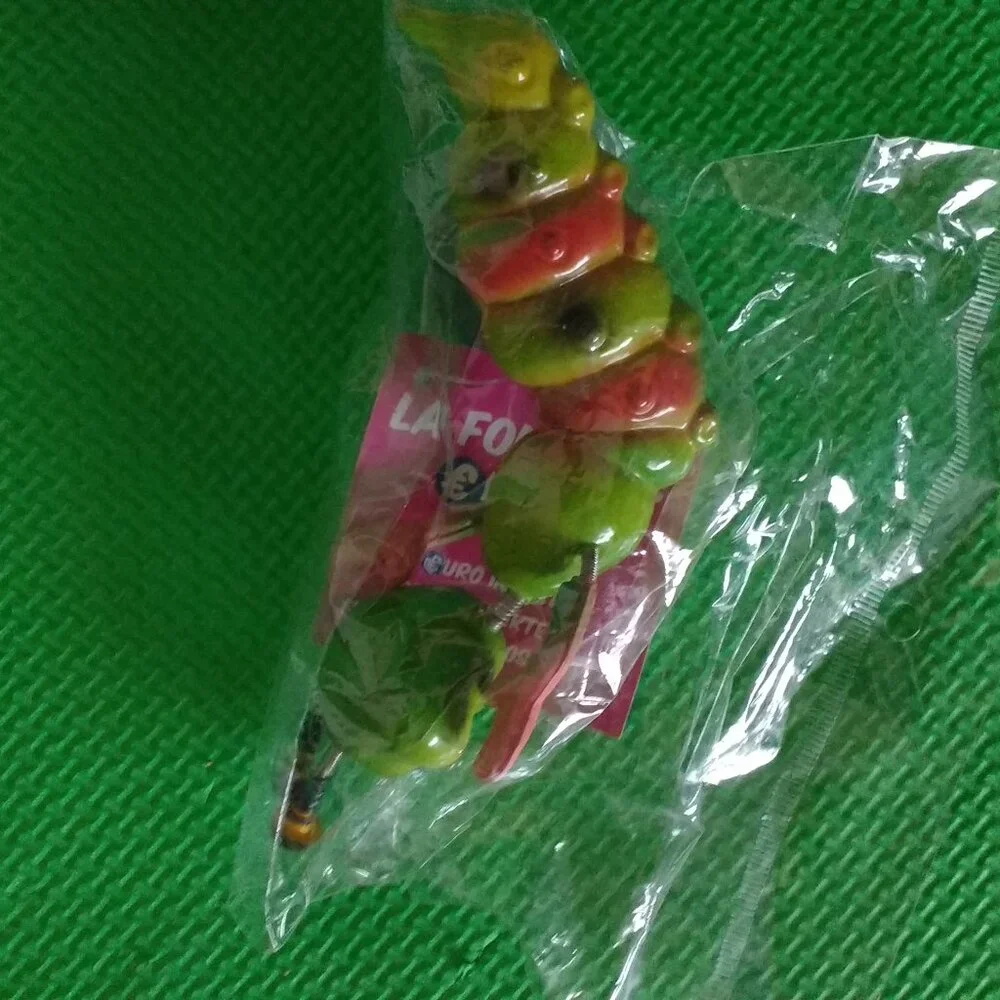 Frog Thermometer + Caterpillar magnet New